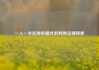 一人一半抚养权模式的利弊法律探析