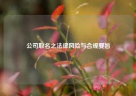 公司取名之法律风险与合规要旨