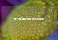 女方提出离婚所需费用解析