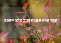 违章停车首次免罚制度的法律解析与适用探析