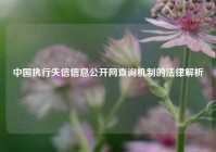 中国执行失信信息公开网查询机制的法律解析