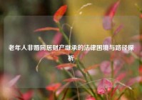 老年人非婚同居财产继承的法律困境与路径探析