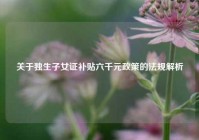关于独生子女证补贴六千元政策的法规解析