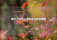 绩效工资的法律界定与实务解析