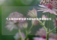 个人原因辞职申请书简短的法律审阅指引