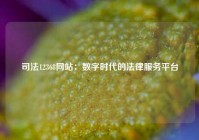 司法12368网站：数字时代的法律服务平台