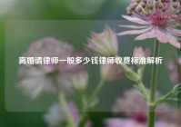 离婚请律师一般多少钱律师收费标准解析