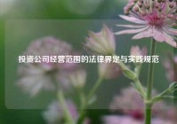 投资公司经营范围的法律界定与实践规范