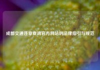 成都交通违章查询官方网站的法律指引与规范