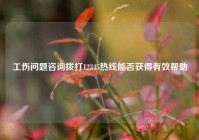 工伤问题咨询拨打12345热线能否获得有效帮助