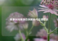 民事纠纷案例百例解析与法律启示