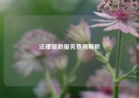法律援助服务费用解析