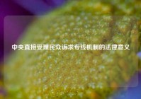 中央直接受理民众诉求专线机制的法律意义