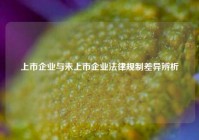 上市企业与未上市企业法律规制差异辨析