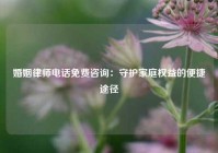 婚姻律师电话免费咨询：守护家庭权益的便捷途径