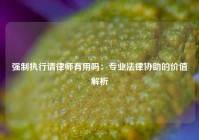 强制执行请律师有用吗：专业法律协助的价值解析