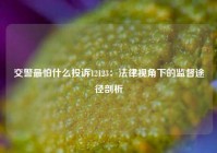 交警最怕什么投诉12123：法律视角下的监督途径剖析