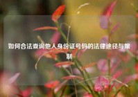 如何合法查询他人身份证号码的法律途径与限制