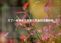 欠了一身债能否提取公积金的法律解析