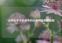 公司名字大全参考的法律风险规避指南