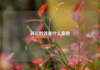 诉讼时效是什么意思