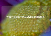 六险二金制度下的劳动者权益保障探析