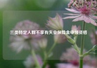 三类特定人群不享有失业保险金申领资格