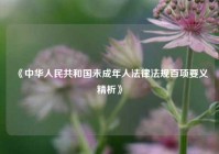 《中华人民共和国未成年人法律法规百项要义精析》