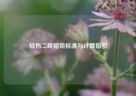 轻伤二级赔偿标准与计算指引