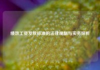 绩效工资发放标准的法律规制与实务探析