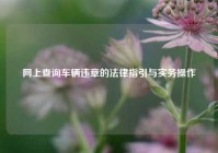 网上查询车辆违章的法律指引与实务操作
