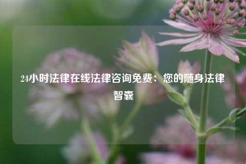24小时法律在线法律咨询免费:您的随身法律智囊