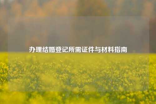办理结婚登记所需证件与材料指南