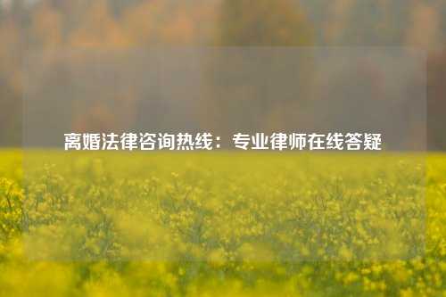 离婚法律咨询热线：专业律师在线答疑
