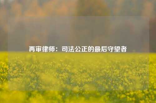 再审律师：司法公正的最后守望者