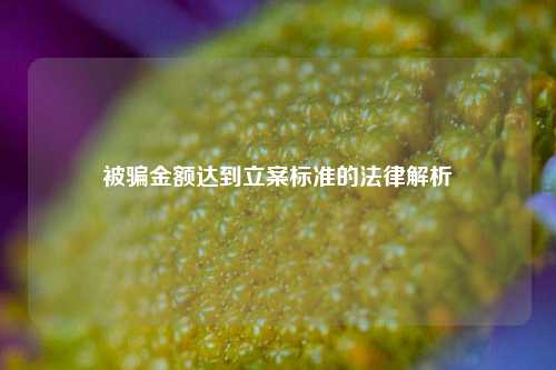被骗金额达到立案标准的法律解析