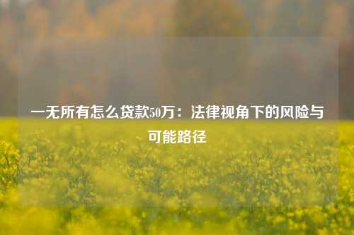 一无所有怎么贷款50万:法律视角下的风险与可能路径