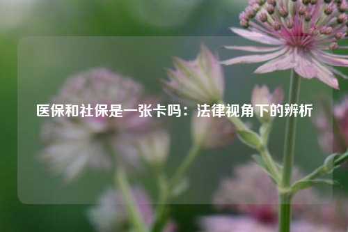 医保和社保是一张卡吗：法律视角下的辨析