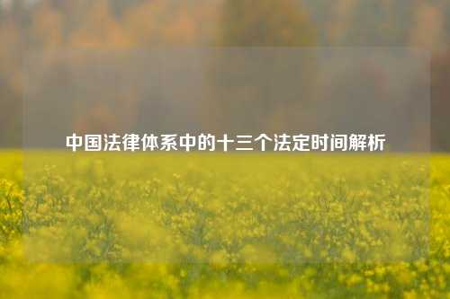 中国法律体系中的十三个法定时间解析