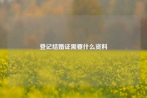 登记结婚证需要什么资料