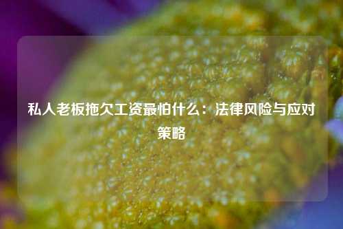 私人老板拖欠工资最怕什么:法律风险与应对策略