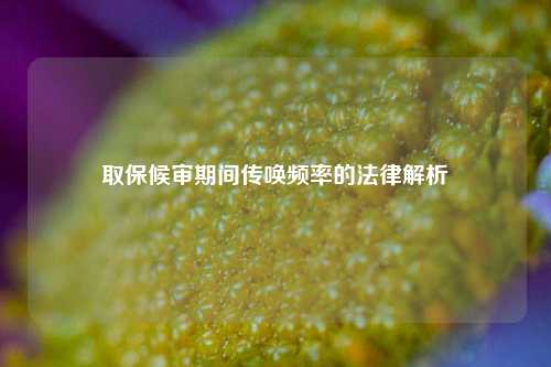 取保候审期间传唤频率的法律解析