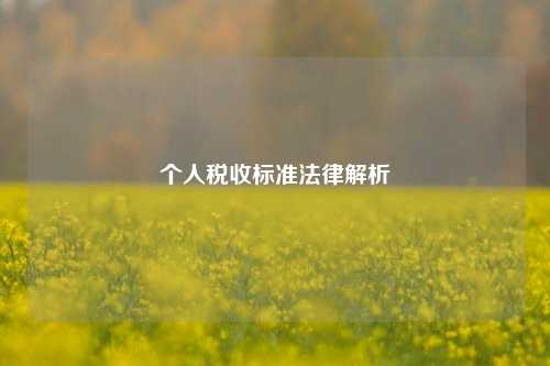 个人税收标准法律解析