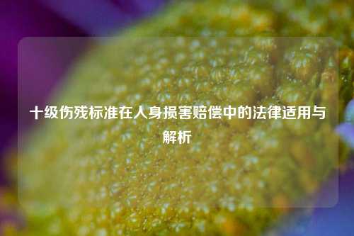 十级伤残标准在人身损害赔偿中的法律适用与解析