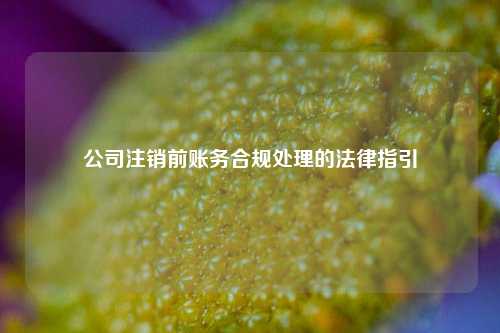 公司注销前账务合规处理的法律指引