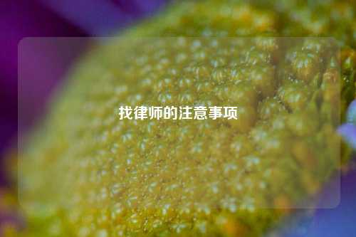 找律师的注意事项