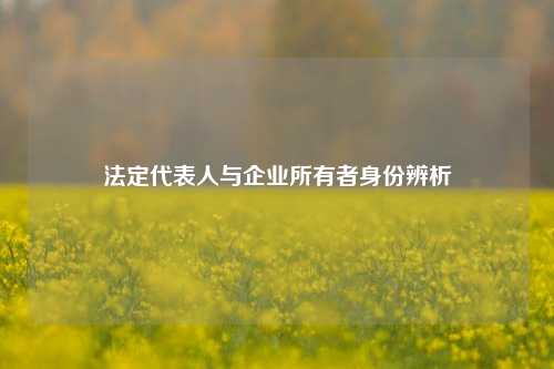 法定代表人与企业所有者身份辨析