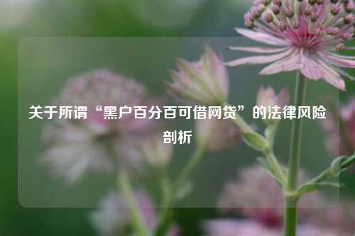 关于所谓“黑户百分百可借网贷”的法律风险剖析